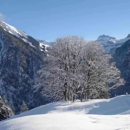 Bijoux Mit Blick Auf Blueemlisalp Lägenhet Kiental