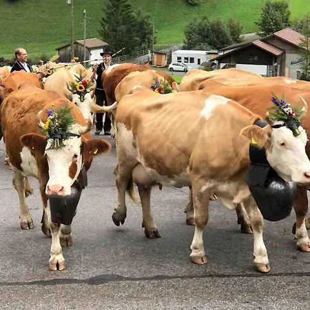 Lägenhet Bijoux Mit Blick Auf Blueemlisalp