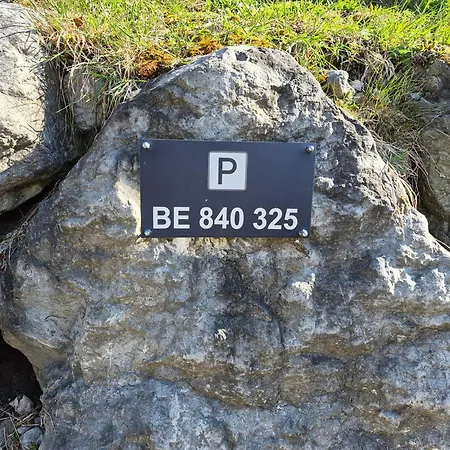 Bijoux Mit Blick Auf Blueemlisalp