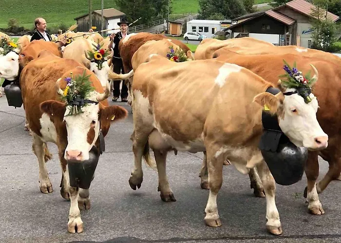 Apartment Bijoux Mit Blick Auf Blueemlisalp