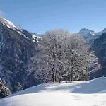 Bijoux Mit Blick Auf Blüemlisalp Apartamento Kiental