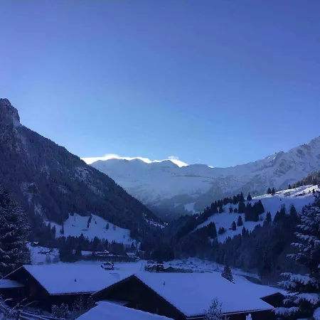 Apartment Bijoux Mit Blick Auf Blueemlisalp Kiental